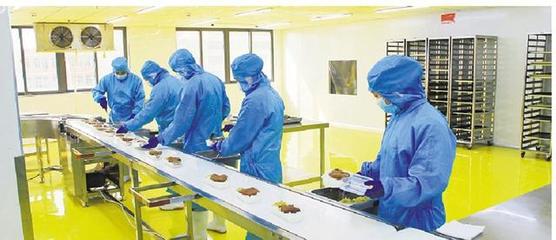 李欽輝調研總部型企業疫情防控和復工復產情況，深入食品生產企業指導